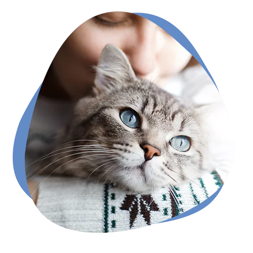 Cremare Tierbestattung Mitarbeiterin mit Katze auf dem Arm