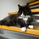 Gedenkbild